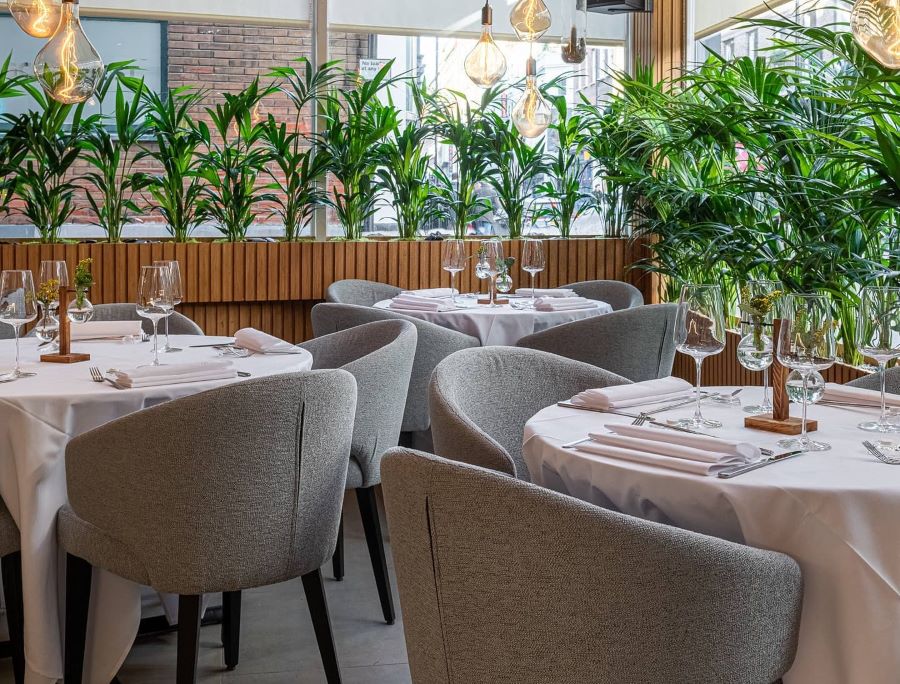 SOLA: A Standout Choice Among Popular Soho Restaurants