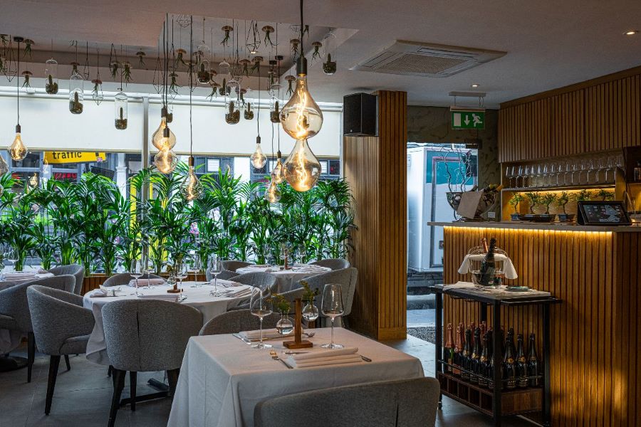 SOLA: A Fancy Restaurant in London Offering Michelin-Starred Flair