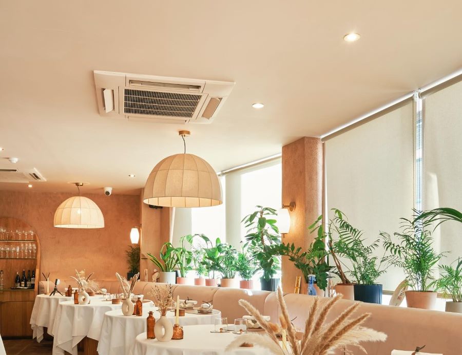 SOLA: A Top Pick Among 1 Michelin Star Restaurants in London